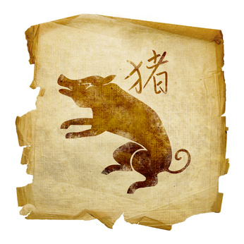 Dzik (Świnia) - Horoskop Chiński