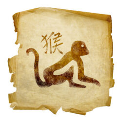 Małpa - Horoskop Chiński