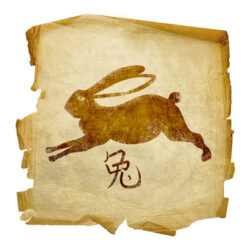 Zając – Horoskop Chiński